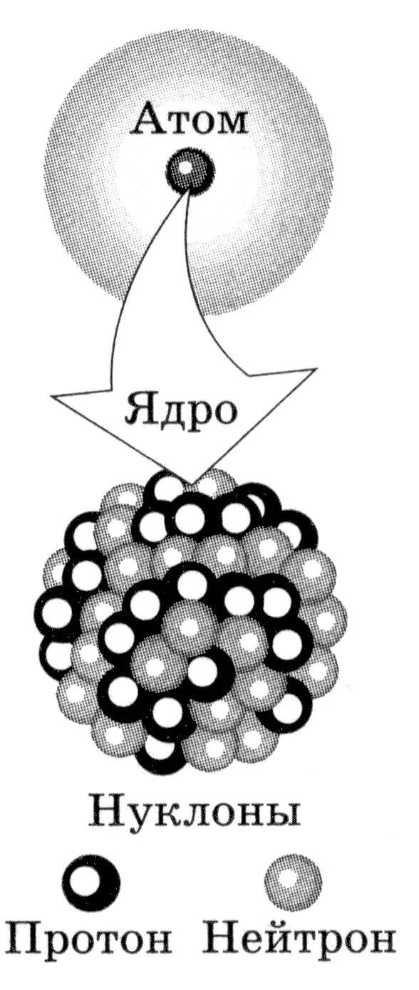 Элементы ядерной физики. Строение атомного ядра нуклоны. Протоны нуклоны нейтроны физика. Атомное ядро нуклон Протон нейтрон. Ядро атома нуклоны.