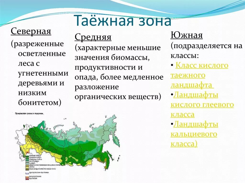 В сибири наибольшую площадь занимает природная. Северная и средняя Тайга. Географическое положение тайги. Тайга на географической карте. Таежная зона России.