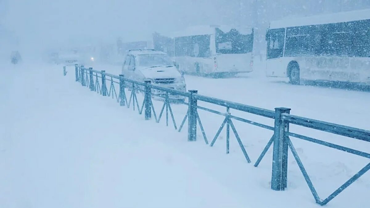 Метель завтра. Снегопад. Сильный снегопад. Сахалинские метели. Метель на Сахалине.