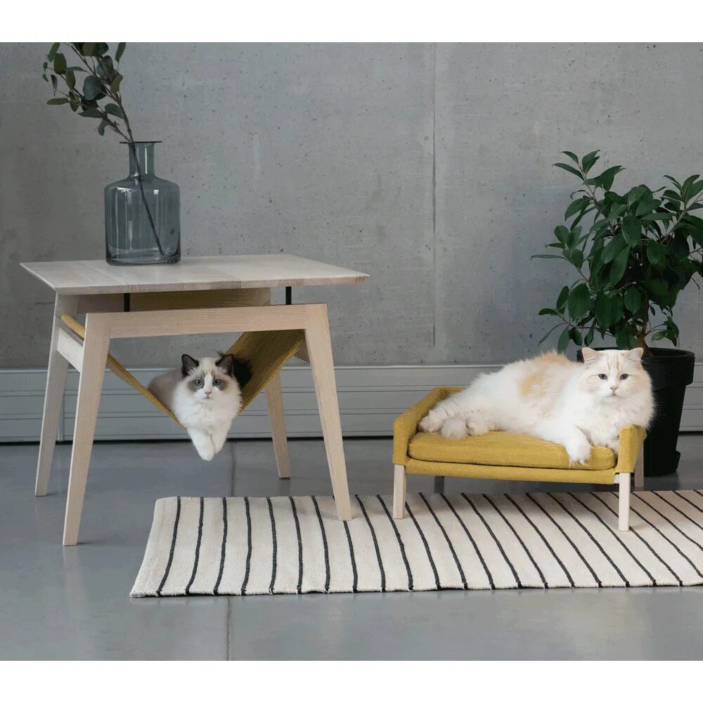 Table кошка