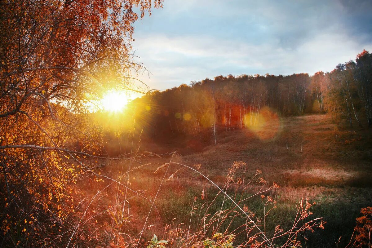 Is march spring, Outdoor, Farmland