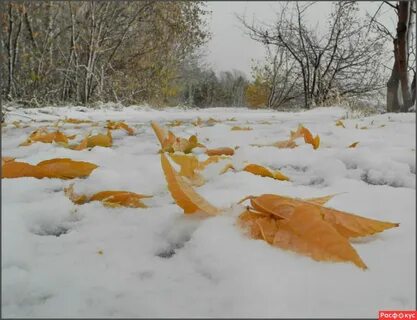 Поздняя осень окончание