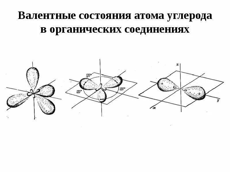 Состояния атома углерода в органических соединениях. Валентные состояния атома углерода в органических соединениях. Валентное состояние атома. Валентные состояния атома углерода. Три валентных состояния атома углерода.