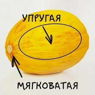 Какая дыня вкуснее