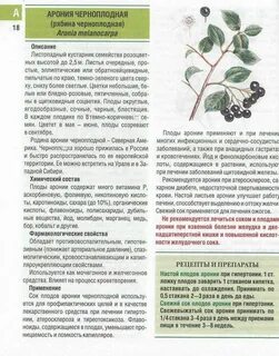Черноплодная рябина поднимает давление