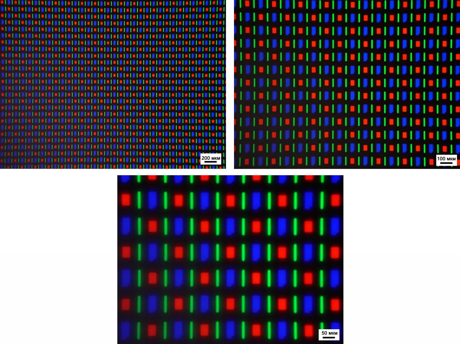 TN матрица под микроскопом. Амолед матрица. IPS матрица под микроскопом. LCD матрица под микроскопом. Матрица пиксели разрешение