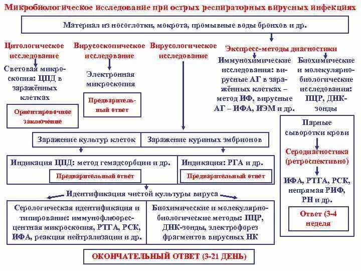 Микробиологическое исследование носа
