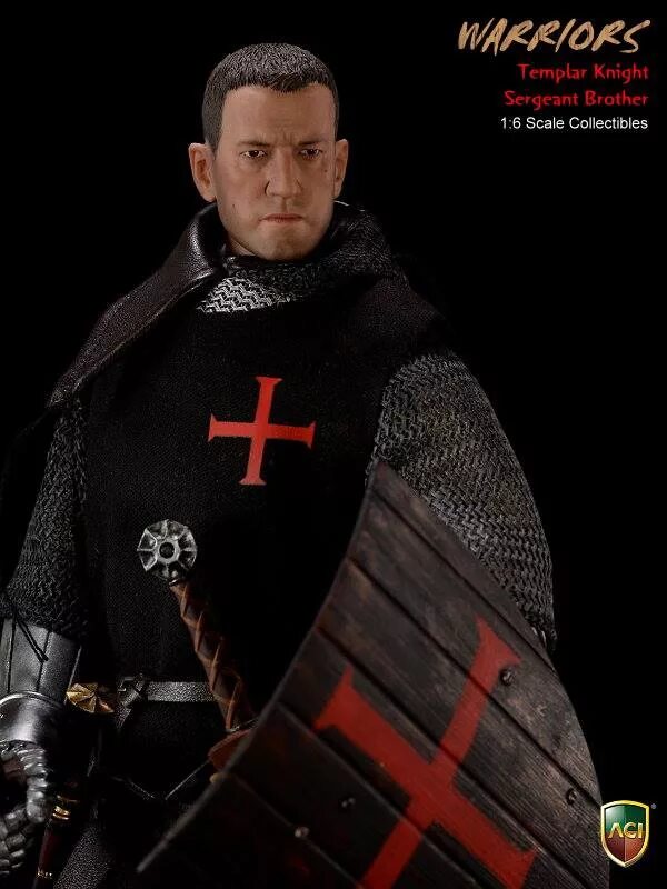 Templar knight from another world