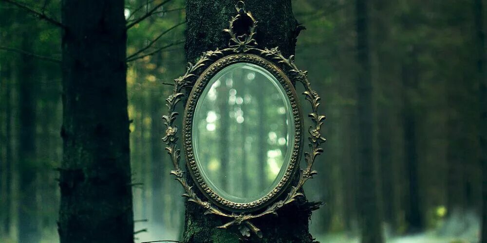 Зачарованный лес однажды в сказке. Зачарованный лес из однажды в сказке. Зеркало в лесу. Магическое зеркало. Зеркала в качестве 1080
