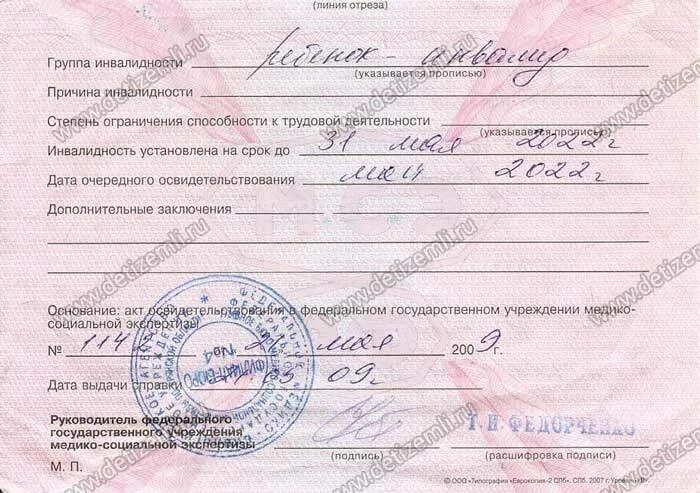 1 Группа инвалидности. ИПР по инвалидности. Справка об инвалидности. Реабилитационная карта инвалида 3 группы.