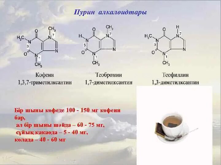 Кофеин теобромин теофиллин формула. Кофеин Пурин формула химии. Алкалоиды кофеин теофиллин теобромин. Кофеин Пурин теобромин и теофиллин: формула химии. Плод содержащий кофеин