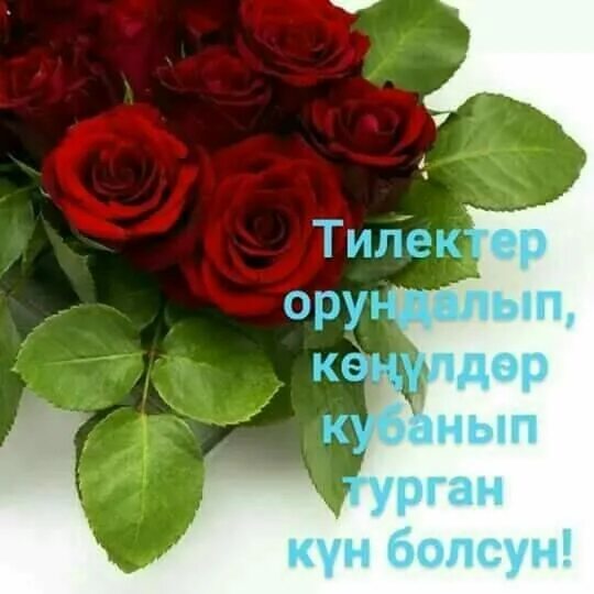 Кутман тан. Кутман. картинка кутмандуу таныныз. кутман тан картинки. кутман кеч фото.