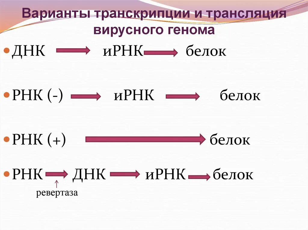 Цикл транскрипции. Транскрипция вирусной РНК. Транскрипция вирусного генома. Регуляция транскрипции вирусного генома. Вариант транскрипция.