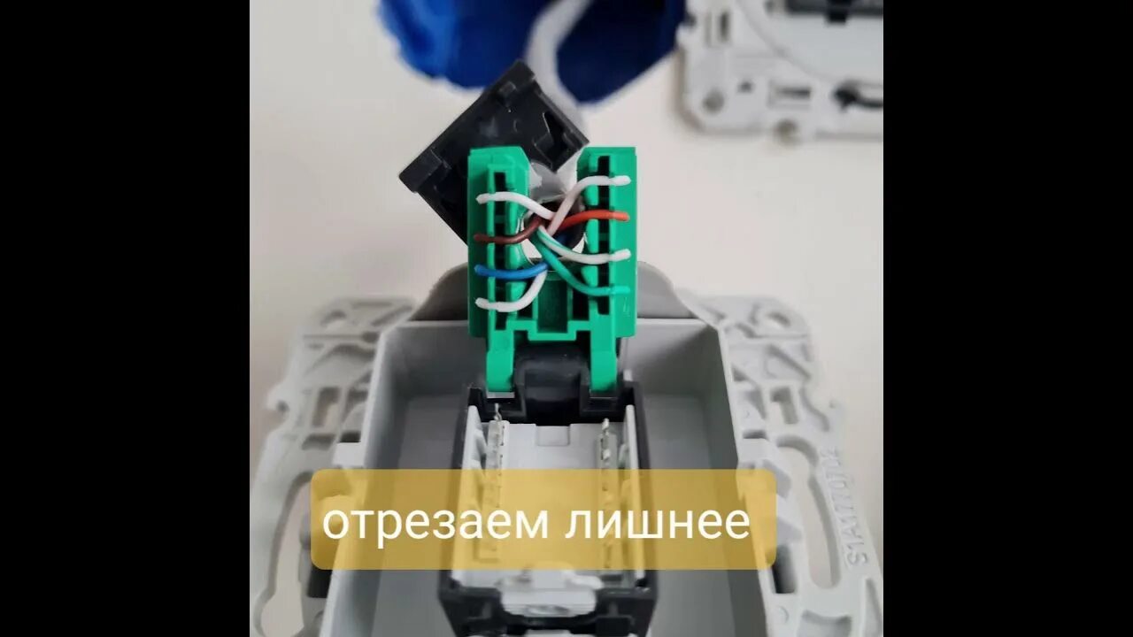 Интернет розетки шнайдер электрик. Подключение розетки rj45 schneider. шнайдер электрик интернет розетка. установка розетки rj45 schneider. схема подключения интернет розетки schneider.