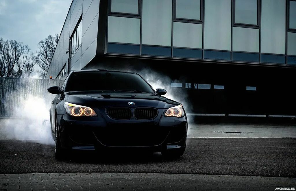 Wallpaper : trees, forest, sports car, BMW M5, white cars, performance car, Seda