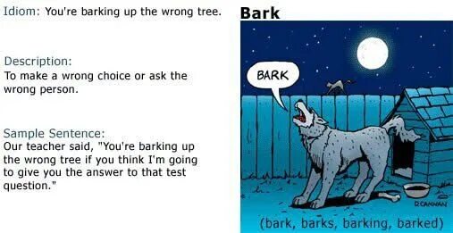 The wrong tree идиома. Barking up the wrong tree идиома. bark up the wrong tree idiom. barking up the wrong tree перевод идиомы. bark up the wrong tree идиома пример.