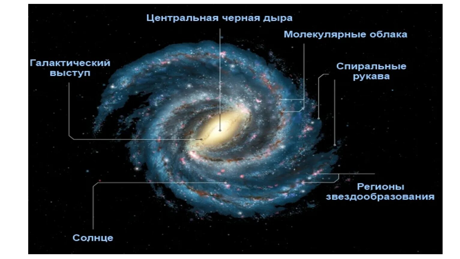 Кто установил из чего состоит млечный путь. Строение галактики млечный путь вид сбоку. ядро галактики млечный путь. балдж млечного пути. строение галактики млечный путь рукава.