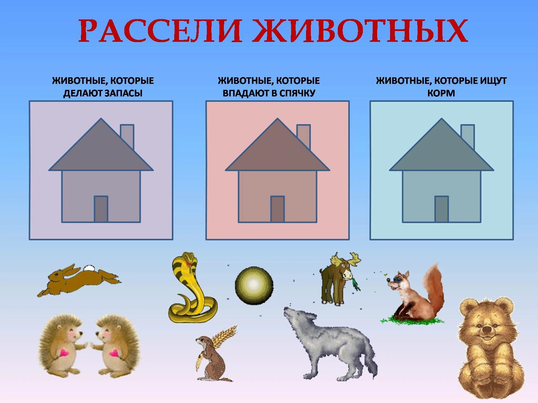 Рассели животных по домикам. Рассели животных. задание рассели животных по домикам. игра рассели животных.