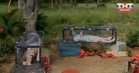 Звезды в джунглях 6 выпуск кто ушел