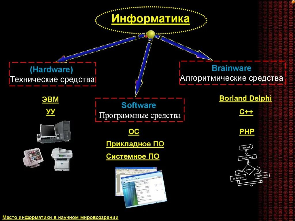 Информатика. Структура современной информатики. Базовые понятия информатики. Программные средства информатики.