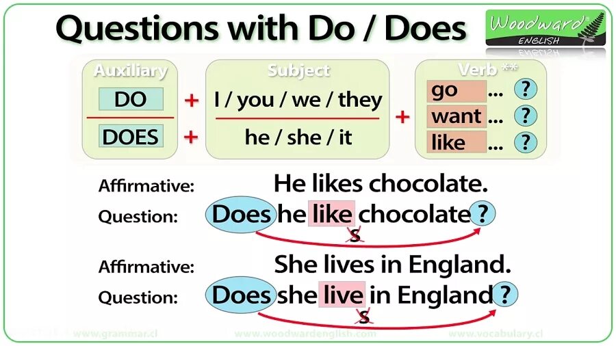 Does we like english. Грамматика do does в английском. Do does правило. Did правило. Вопросы do does в английском.