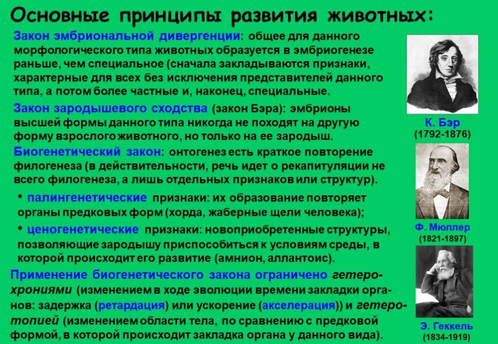 Все без исключения представители