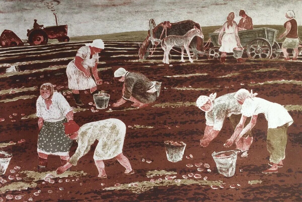 Собирают люди хлеб. А.А. пластов «сбор картофеля» 1956г..