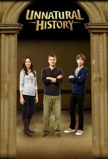 История 1 все