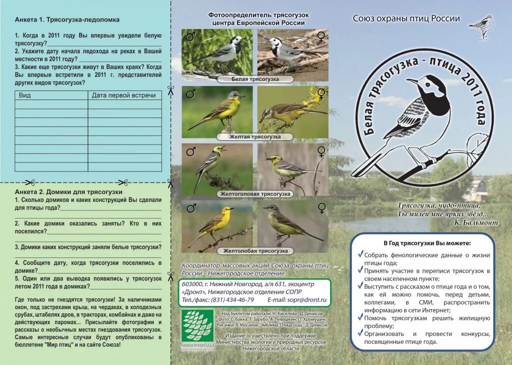 Листовка охрана птиц. Буклет про птиц. Сопр Союз охраны птиц России. Охрана птиц презентация.