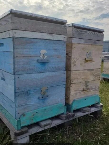 Улья продается. Продажа ульев для пчел. Ульи для пчёл б у. Белгородские ульи.