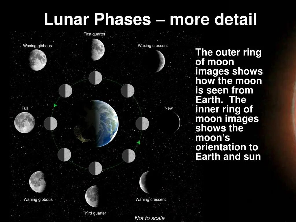 Фазы Луны. Фазы Луны на английском. Фазы Луны астрономия. Moon phases for Kids. Фазы луны в феврале и марте 2024г