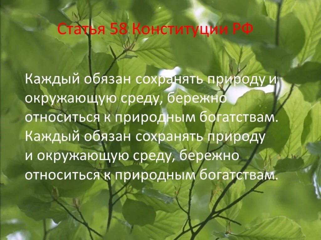 Сохранять природу статья. Обязанность сохранять природу и окружающую среду. Сохранять природу и окружающую среду Конституция. Бережно относиться к природным богатствам. Охрана природы и окружающей среды Конституция.