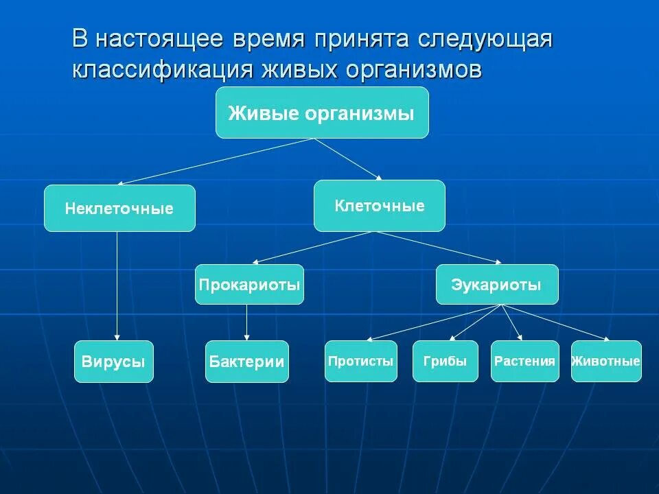 Многообразие организмов и их классификация. Современная классификация живых организмов таблица. Классификация живых организмов схема. Схема биологической классификации живых существ. Современная классификация живых организмов схема.