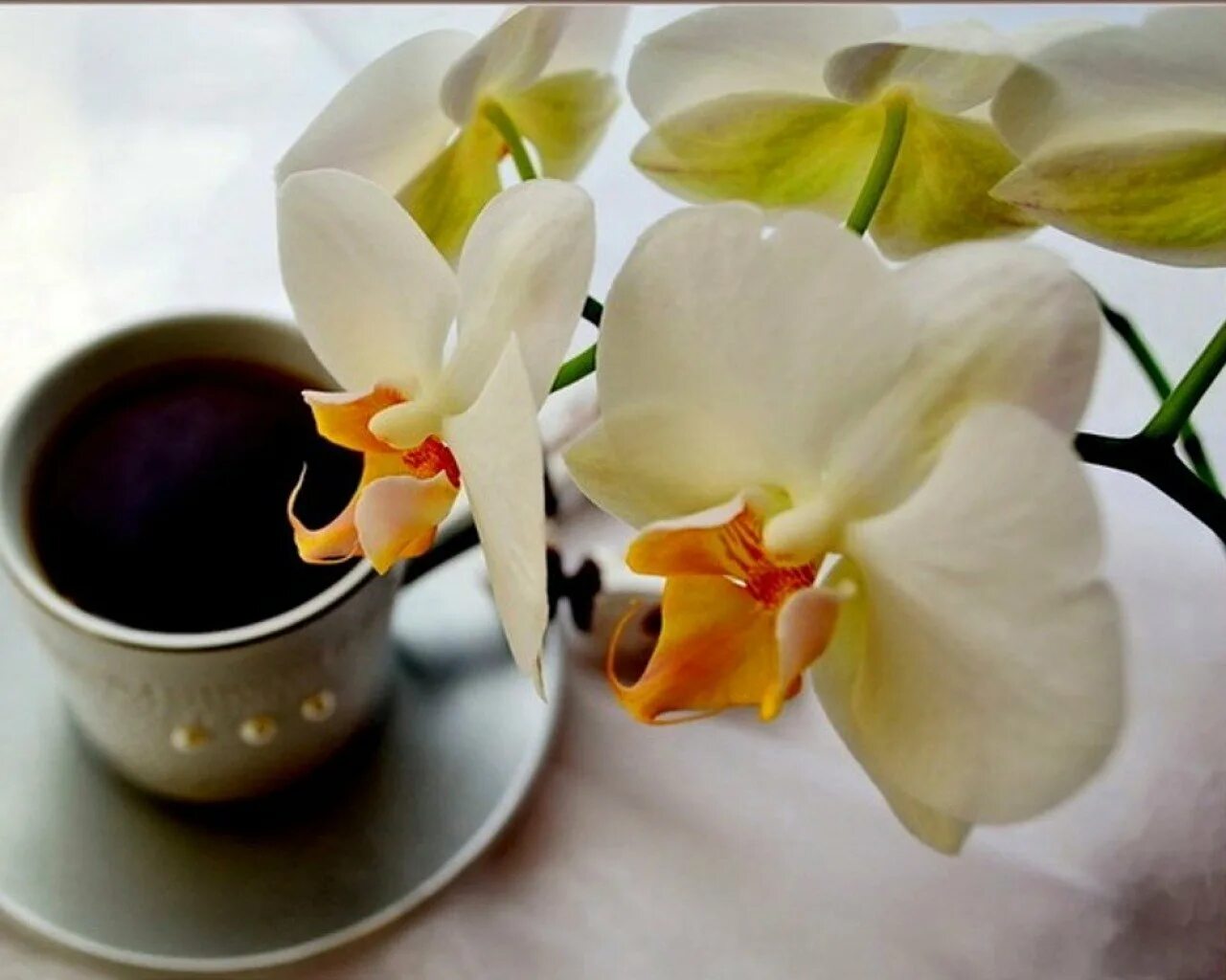 Доброе утро дорогой. Необычные открытки с добрым утром. Доброе утро отличного дня. Самого невероятного доброго утра. Доброе утро креативные.