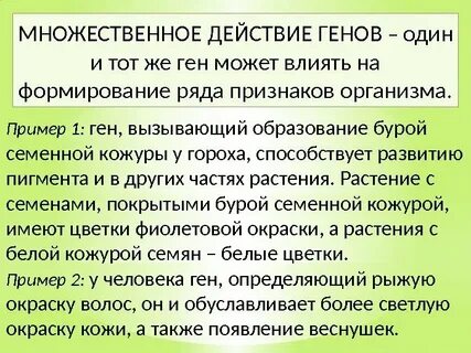 Множественные гены