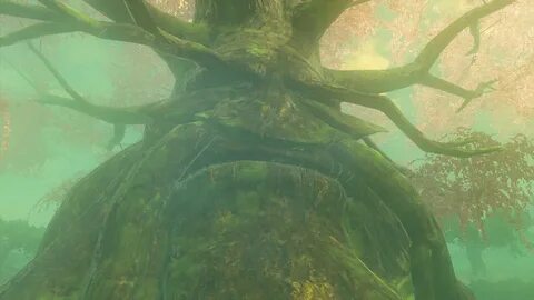 Find a way to cleanse the Deku Tree in The Legend of Zelda: Tears of the Ki...