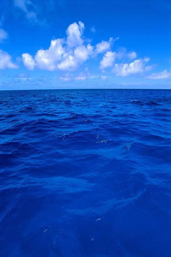 Голубое море. Синий океан. Цвет моря. Гладь океана. Почему океан синий