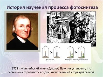 Первый ученый установивший способность растений исправлять воздух