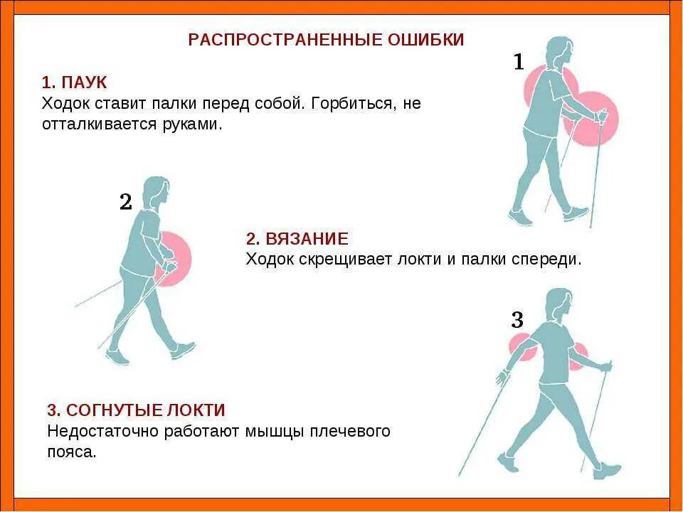 Методика скандинавской ходьбы с палками для начинающих. Правила ходьбы со скандинавскими палками для начинающих. Скандинавская ходьба с палками техника ходьбы для начинающих. Техника скандинавской ходьбы для начинающих с палками. Уроки как правильно заниматься