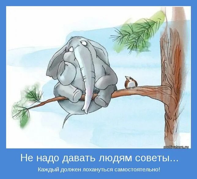 Цитаты про советы. Цитаты про советы и советчиков. Высказывания про советы. Каждый должен лохануться сам. Советы будешь давать другим.
