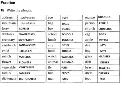 Write the plural forms