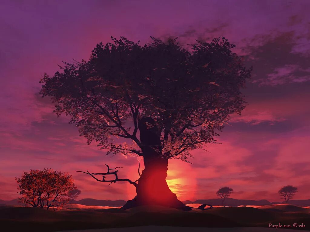 Purple sun слив. Фиолетовое солнце. Cannons_-_purple_sun_73623819. Purple sun. Cannons_-_purple_sun_73623819.