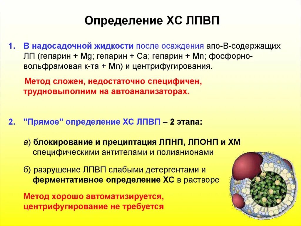 Липопротеины низкой плотности крови. Определение липопротеинов высокой плотности (ЛПВП-Альфа). Липопротеинов высокой плотности. Методы определения липопротеидов.