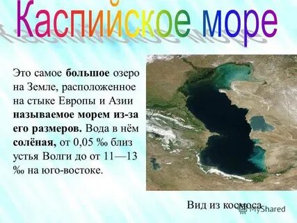 Виды пресных морей