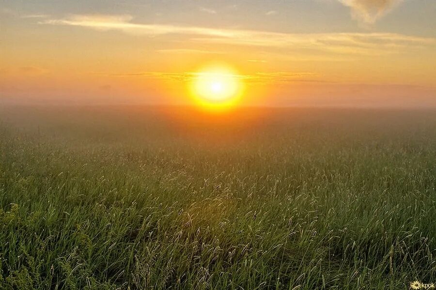 Рассвет солнца. Утреннее солнце. На Восходе солнца. Восход солнца в поле.