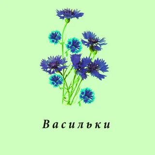 Песня васильки исполнитель