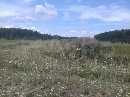 Погода в сарафаново