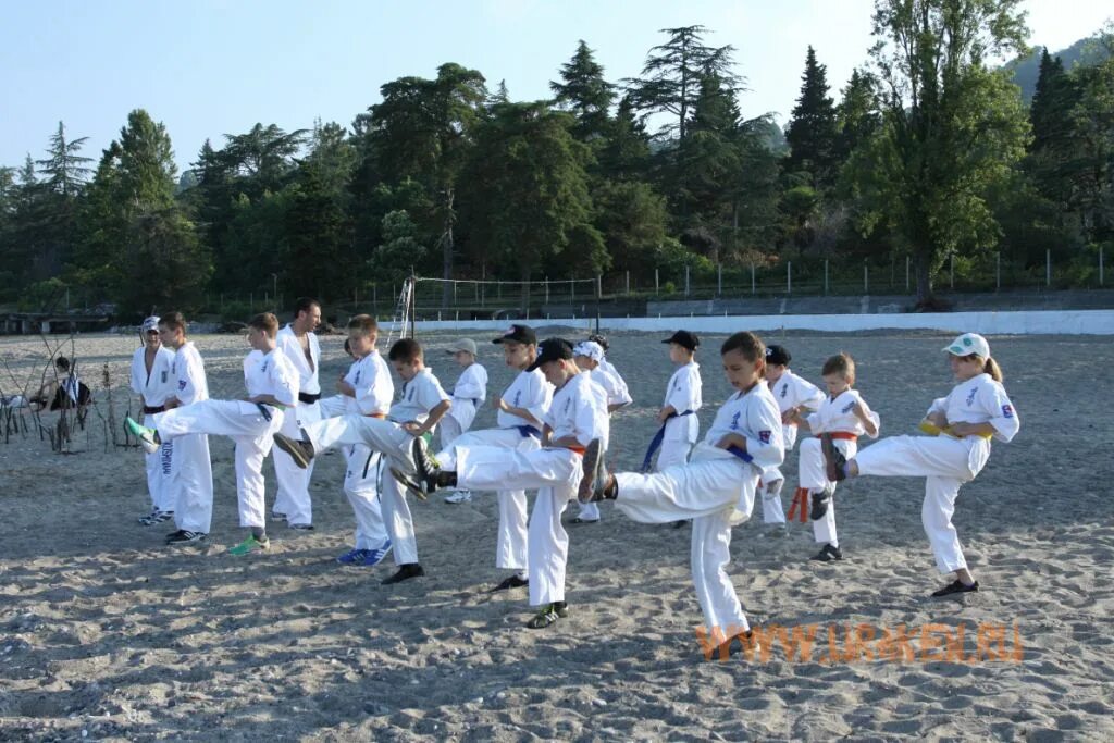 Лагерь карате. Ритм орел киокушинкай. Лагерь карате. Каратэ в абхазии. Карате лагерь море.