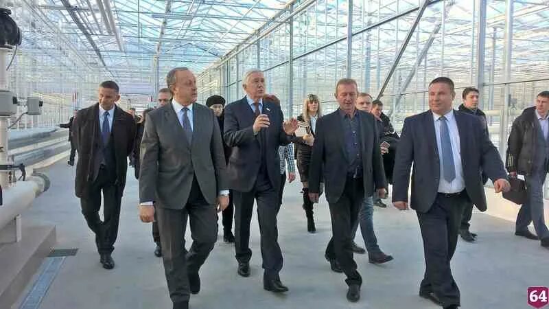 Агрофирма волга. Агрофирма среднеивкино. Товарное хозяйство маркс. Агрофирма волга. Агрофирма волга.