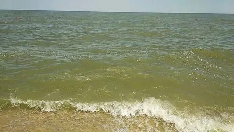Когда цветет азовское море